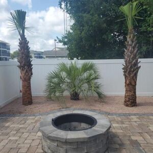 236820191_3252898164934007_1919470179418420184_n (1)