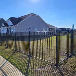 336365217_2514943848664669_1870607155970099428_n