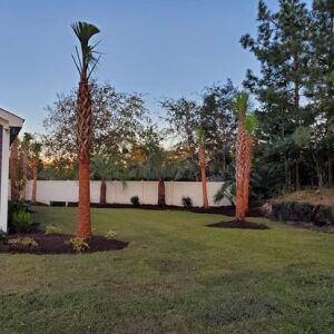 72544916_2665158560374640_866793527831429120_n